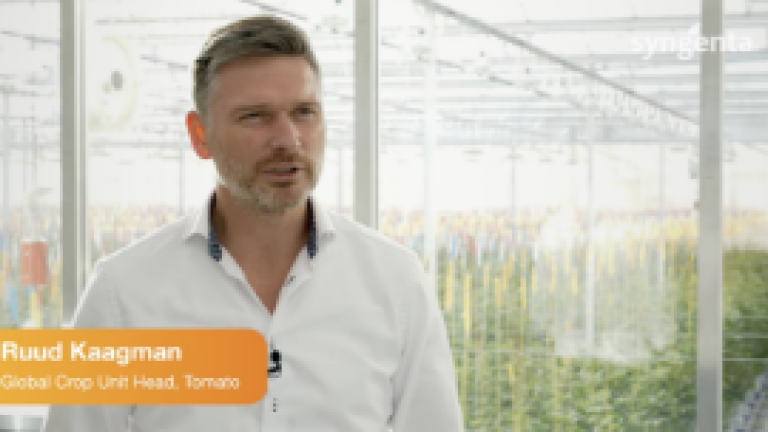 Robotic tomato video