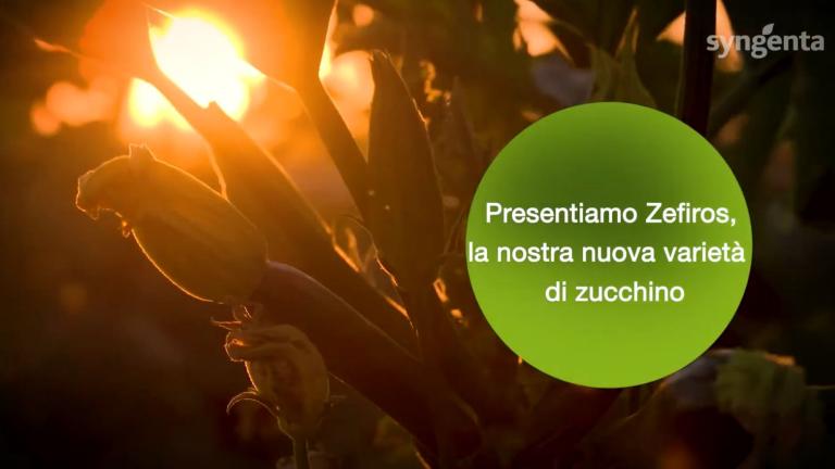italy video image