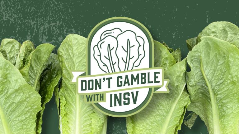 Don't gamble with insv
