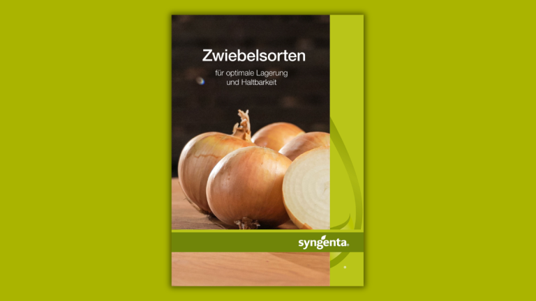 Onion catalogue