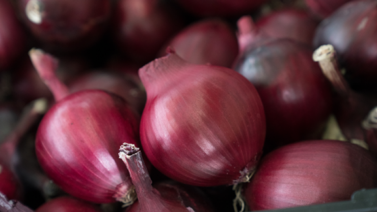onion portfolio teaser
