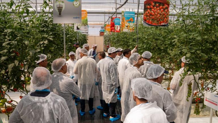 tomato_excellence_event