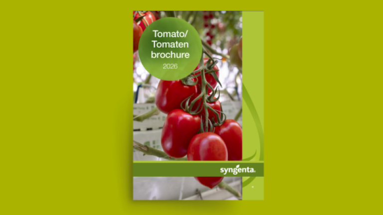 Tomato Bruschetta packet with tomatoes and basil on a green background