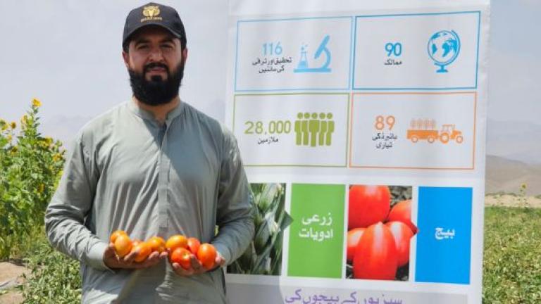 Man holding tomatoes in a field, with a colorful infographic panel behind him.