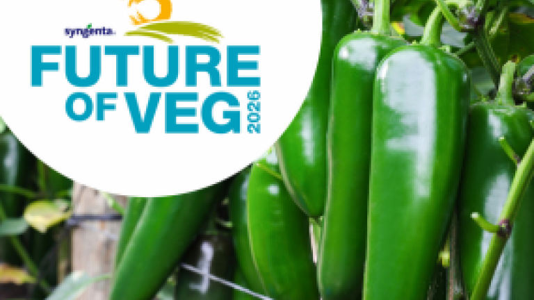 Jalapeno peppers on plant with Syngenta Future of Veg logo displayed on white circle