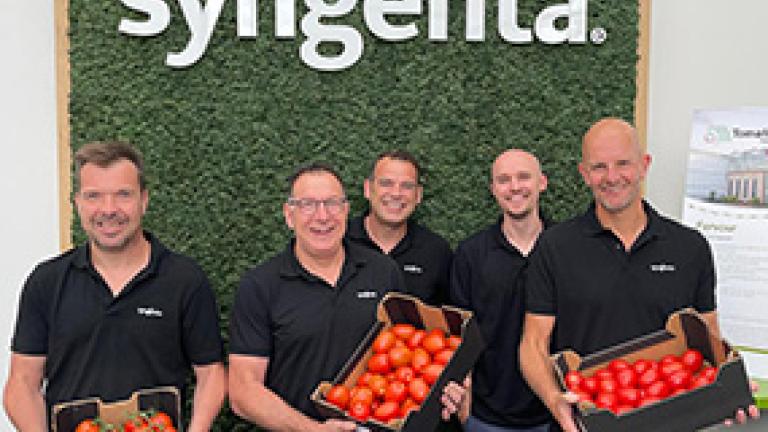 Five men in black polos holding crates of tomatoes in front of a Syngenta sign