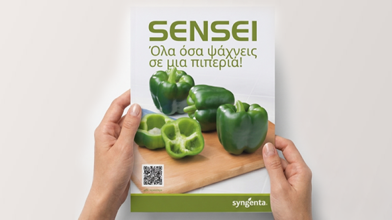 Hands holding a Sensei peper leaflet