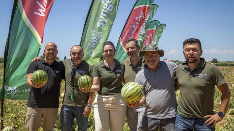 Six men holding watermelons in a sunny field with tall branded flags behind them