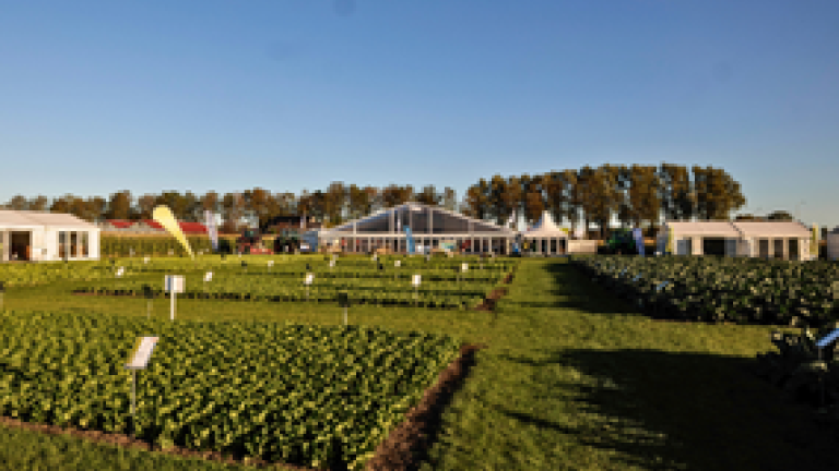 Fields of Innovation 2026