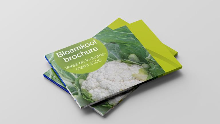 1132x637_bnl_2026_bloemkool