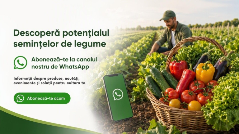 Farmer harvesting vegetables in a field beside a WhatsApp-themed promotional banner