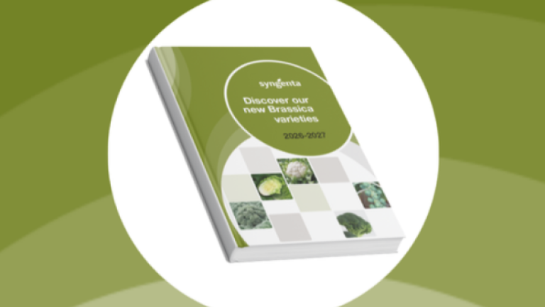brochure image