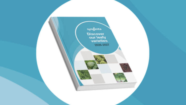 Graphic of a brochure with a teal cover and plant photos on a blue background