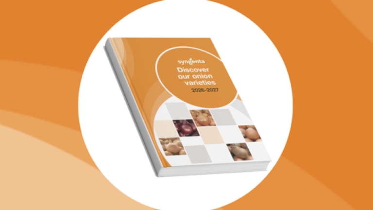 Orange graphic with a circular cutout showing a book cover mockup