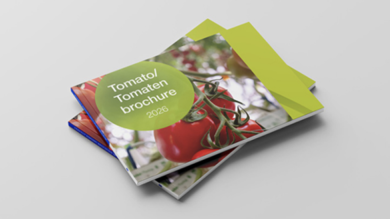 Stack of tomato sauce recipe cards on a gray surface