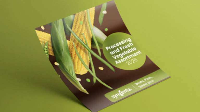 Curled brochure on green surface with corn graphic and green design