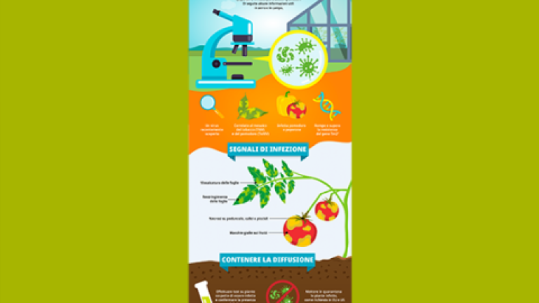 Vertical infographic about the water cycle with diagrams and icons on a green background