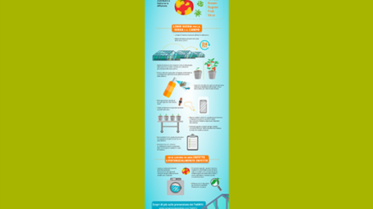 Tall infographic with icons and text on a turquoise background, centered on green