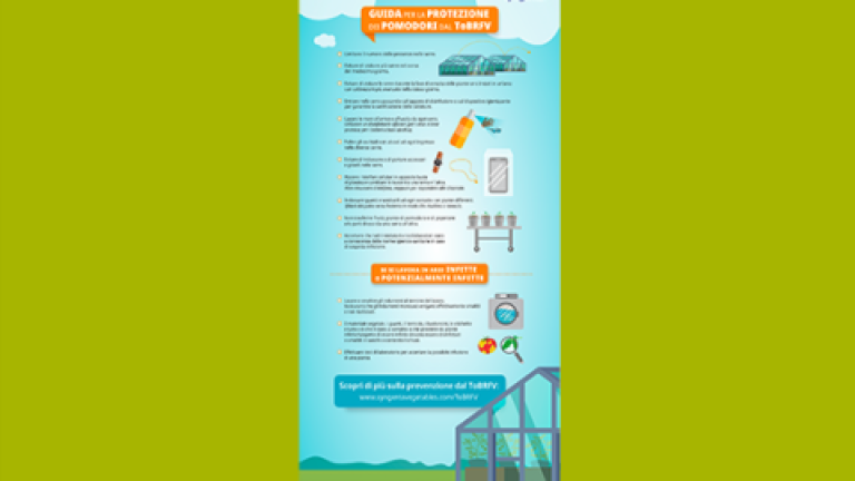 Tall infographic with text and small illustrations on a teal background, centered on green