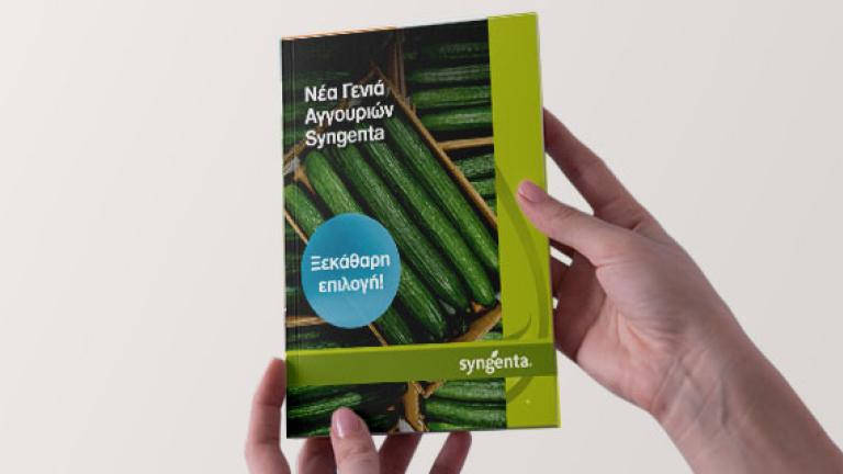 Hands holding a green book with a photo of a cucumber