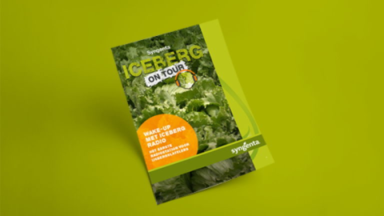 Bag of iceberg lettuce on green background