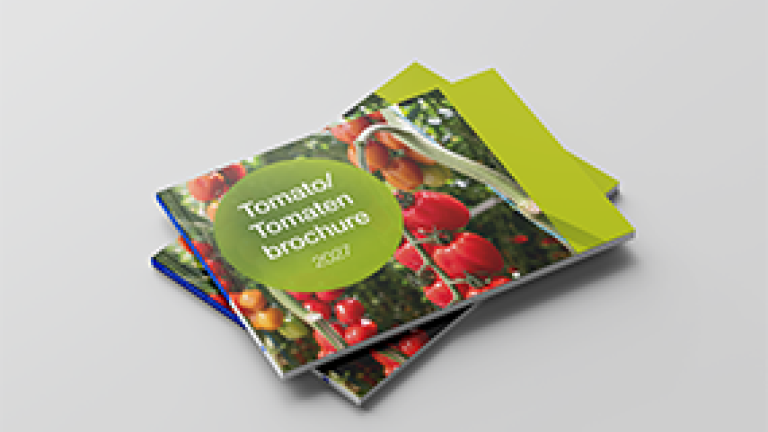tomatenbrochure_bnl_2027_285x214