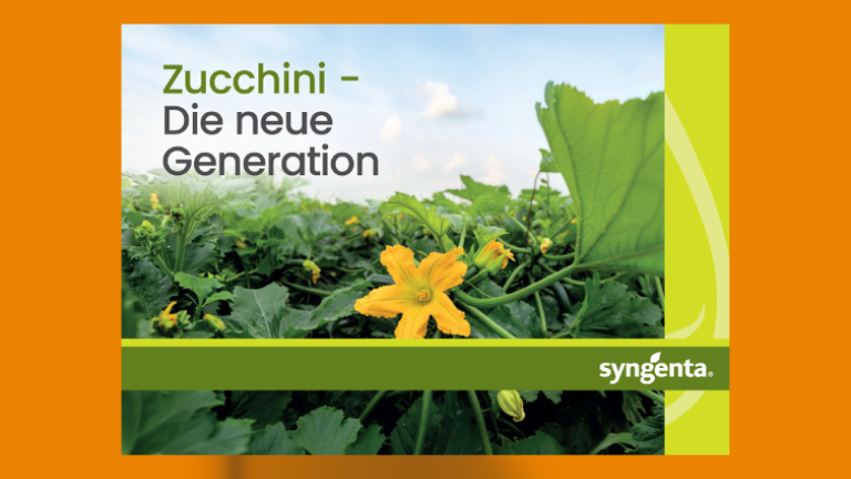zucchini_catalog_755x566.png