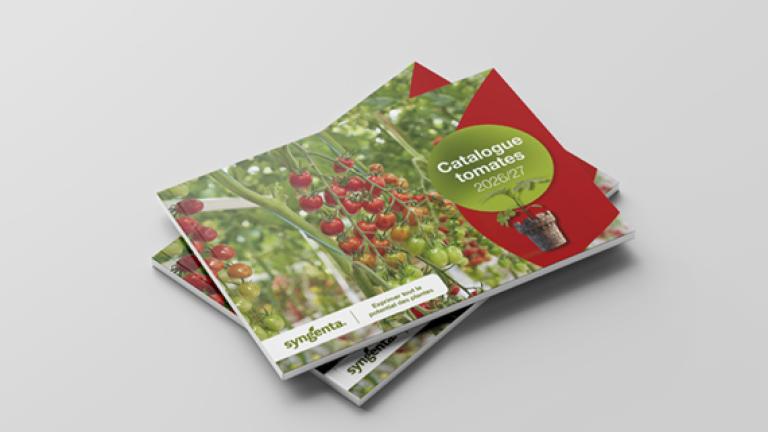 Stack of brochures with green and red berry-themed cover on a gray surface
