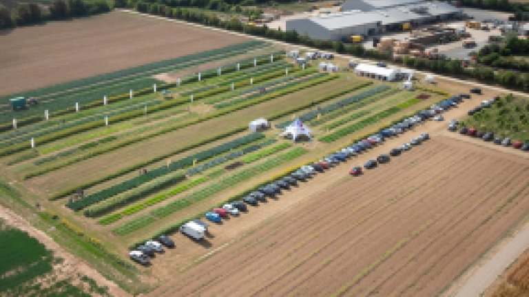 field_day_285x214.png