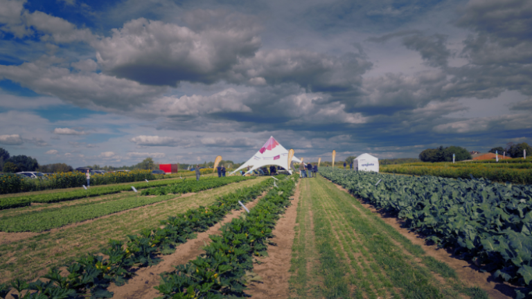 Crop rows leading to a distant barn under dramatic cloudy skyfield_day_750x480.png