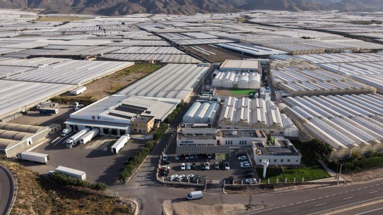Aerial view of a large greenhouse complex in a desert valley with mountains beyond