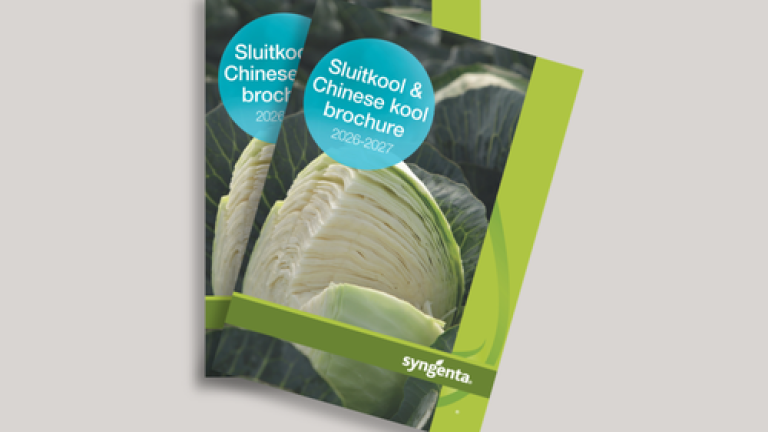 Brochure met close-up van een sluitkool