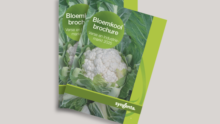 bloemkool_brochure_2026_285x214