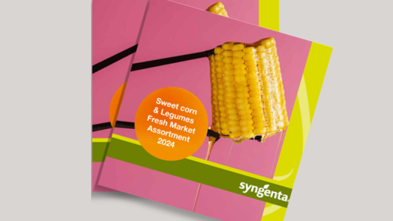 Sweetcorn and vegetables fresh market
