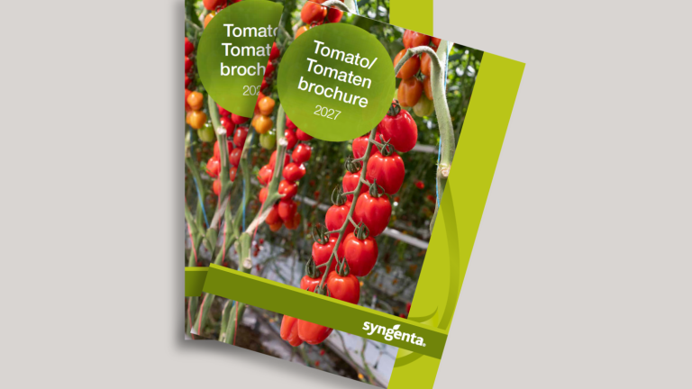 tomaten_brochure_2027_285x214