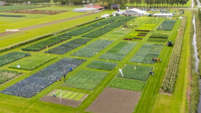 Syngenta Fields Of Innovations 2026