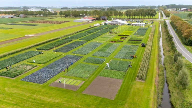 Syngenta Fields Of Innovations 2026