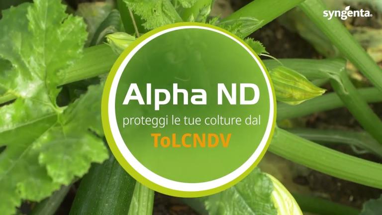 Alpha ND: la soluzione contro il New Delhi Virus specifica per Latina