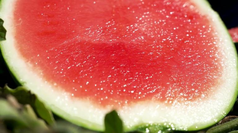 Resilient Plants with Watermelon Rootstock
