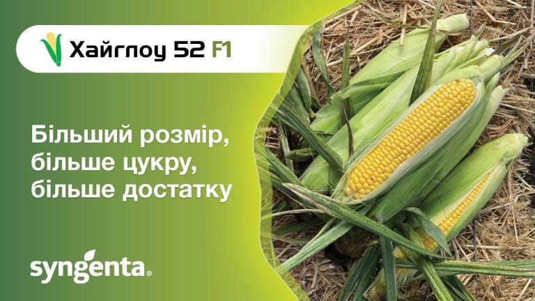 Кукурудза Хайглоу 52  F1 — більше, ніж очікуєш