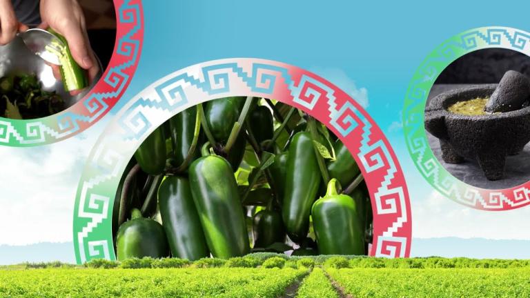 Llegaron los Chiles Picosos que le ponen sabor a México