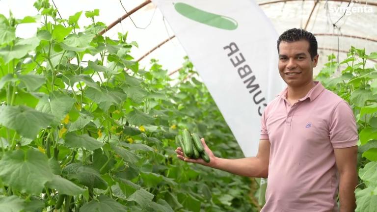 Starluks 2025 - Syngenta Egypt
