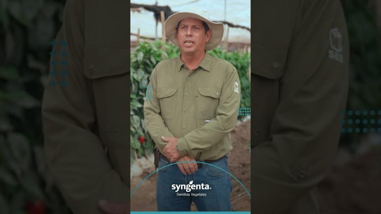 Pimientos hechos a tu medida- josé luis espinal