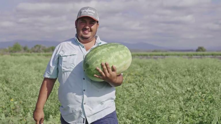 I Love Watermelon - Antonio Pulido