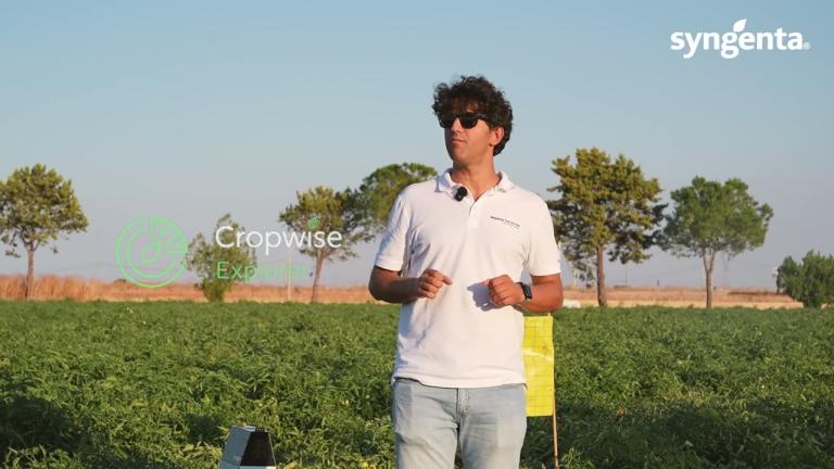I Servizi digitali di Syngenta per le orticole