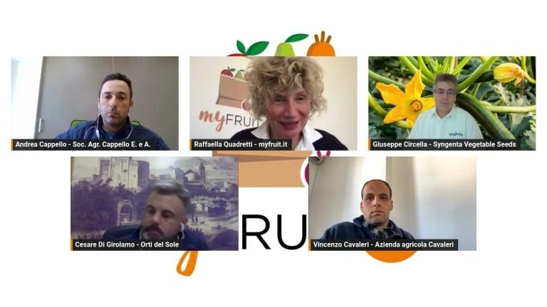 Zucchino, mercato strategico per l'Italia: l'Analisi di Syngenta.