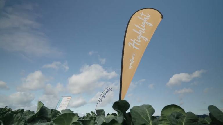 Einladung Pfälzer Feldtag 2026