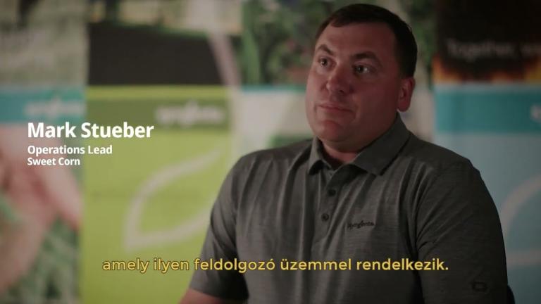 Hogyan javíthatjuk a feldolgozóipari csemegekukorica fajták termésátlagát