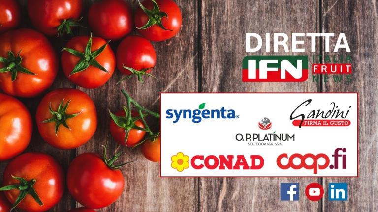 Pomodori sotto la lente di IFN