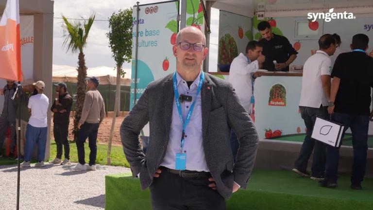 Tomato Excellence Experience : le marché européen de la tomate relancé par le segment premium